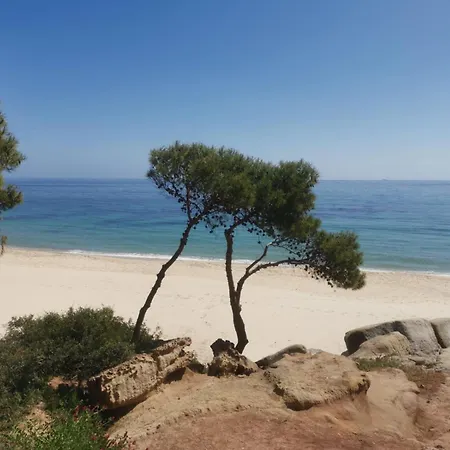 Due Passi Dal Mare *