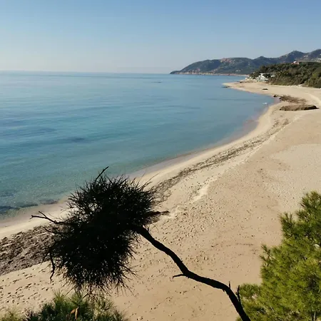 Apartmán Due Passi Dal Mare *